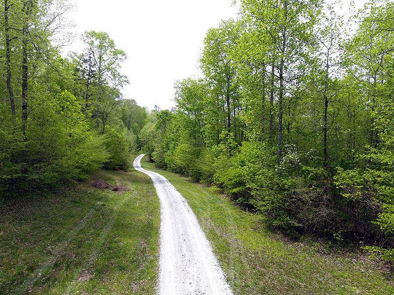 https://bt-photos.global.ssl.fastly.net/lexington/orig_boomver_1_20260513055820772897000000-2.jpg