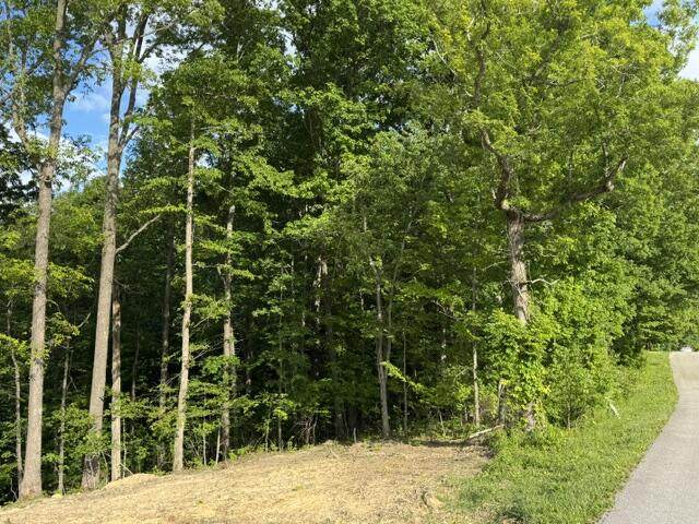 Lot 231 Oakwood Drive - Photo 1