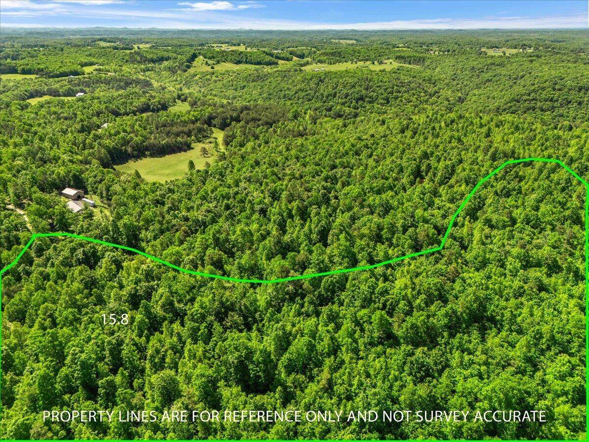 2222 Watt Nantz Road - Photo 1
