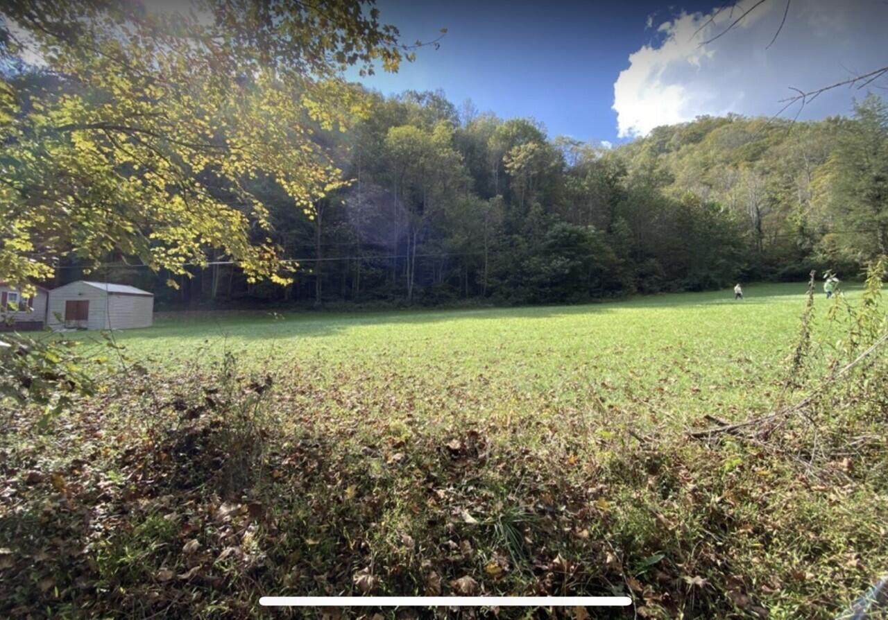 00 Beech Branch Road - Photo 1