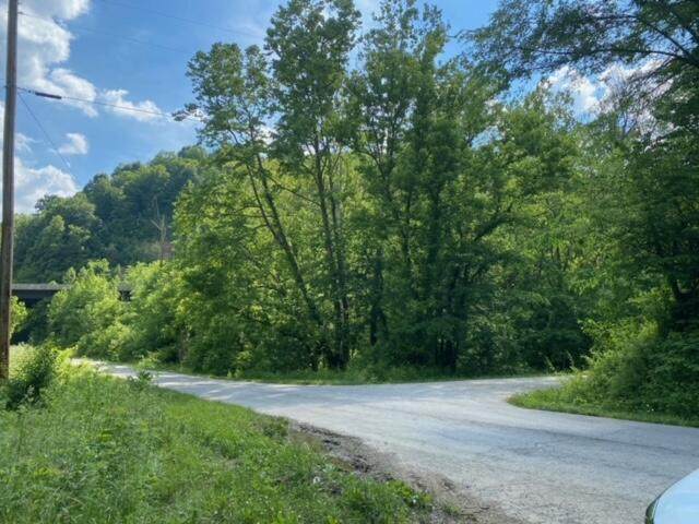 1329 Lower River Road - Photo 1