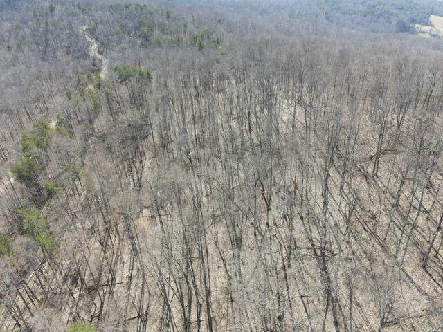00 State Hwy 1009 S - Photo 1