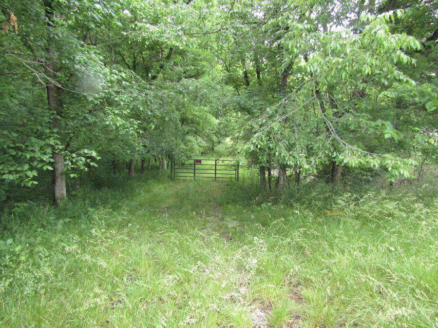 5585 Rocky Branch Road - Photo 1