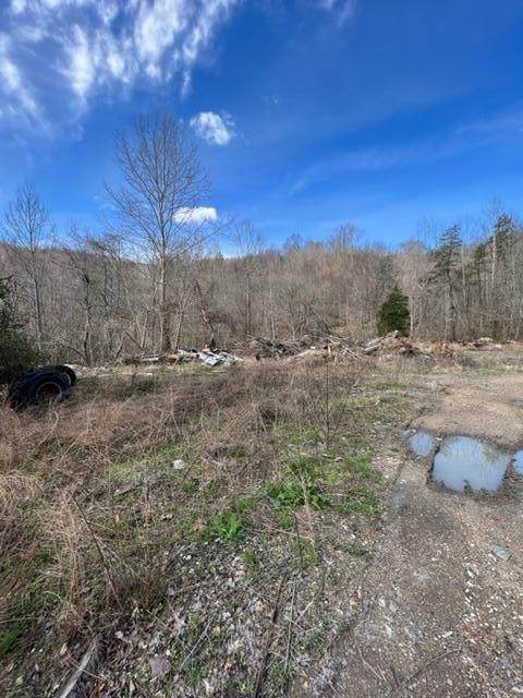 554 Sukey Hollow Road - Photo 1