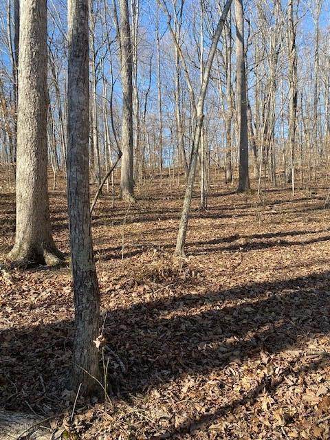 Lots 41-42 Cherokee Village - Photo 1