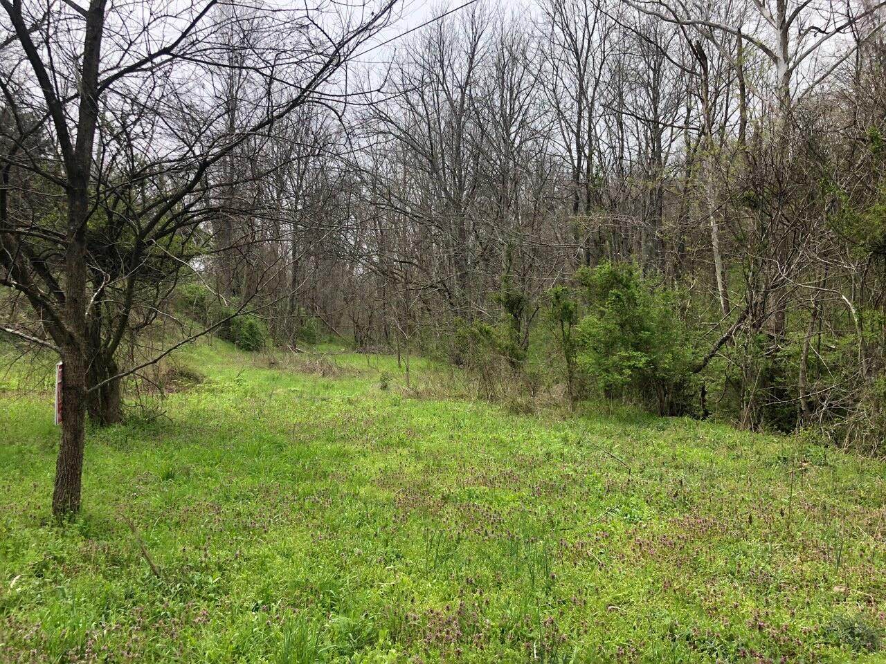 000 Locust Lane - Photo 1