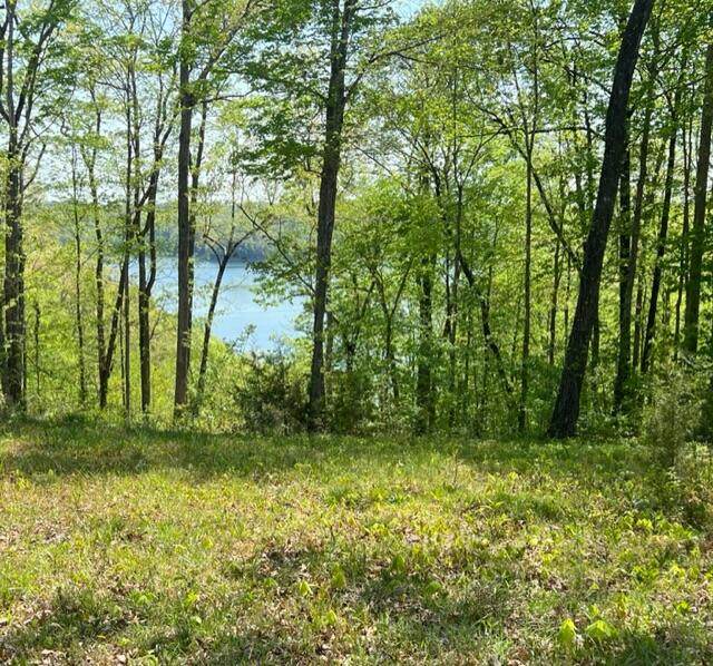 Lot 47 North Shores Drive - Photo 1