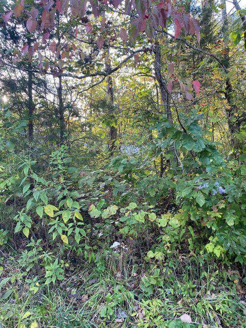138 Shiloh Road - Photo 1