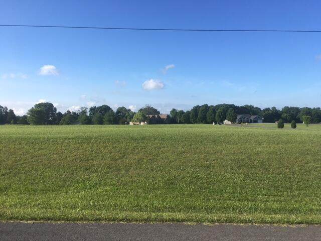 Lot 1 Frontage Road - Photo 1