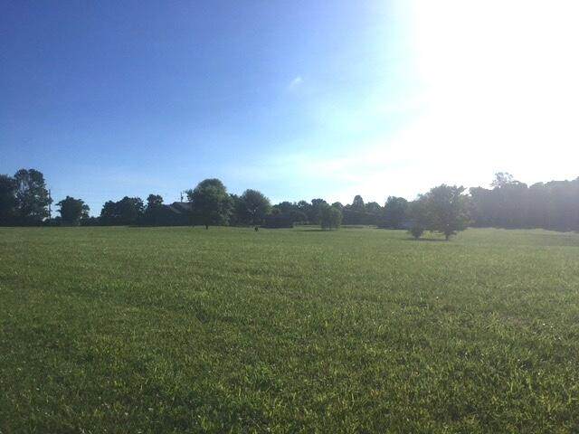 Lot 2 Danielle Drive - Photo 1