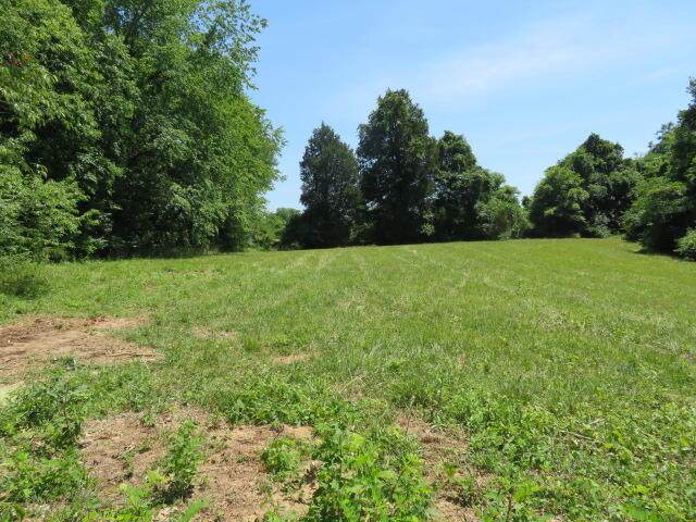 13645 Irvine Road - Photo 1