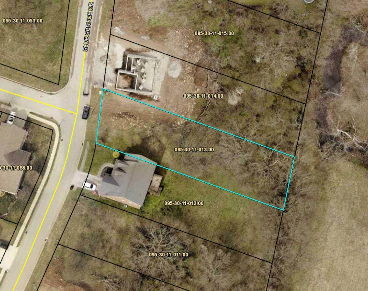 208 Blue Spruce Drive - Photo 1