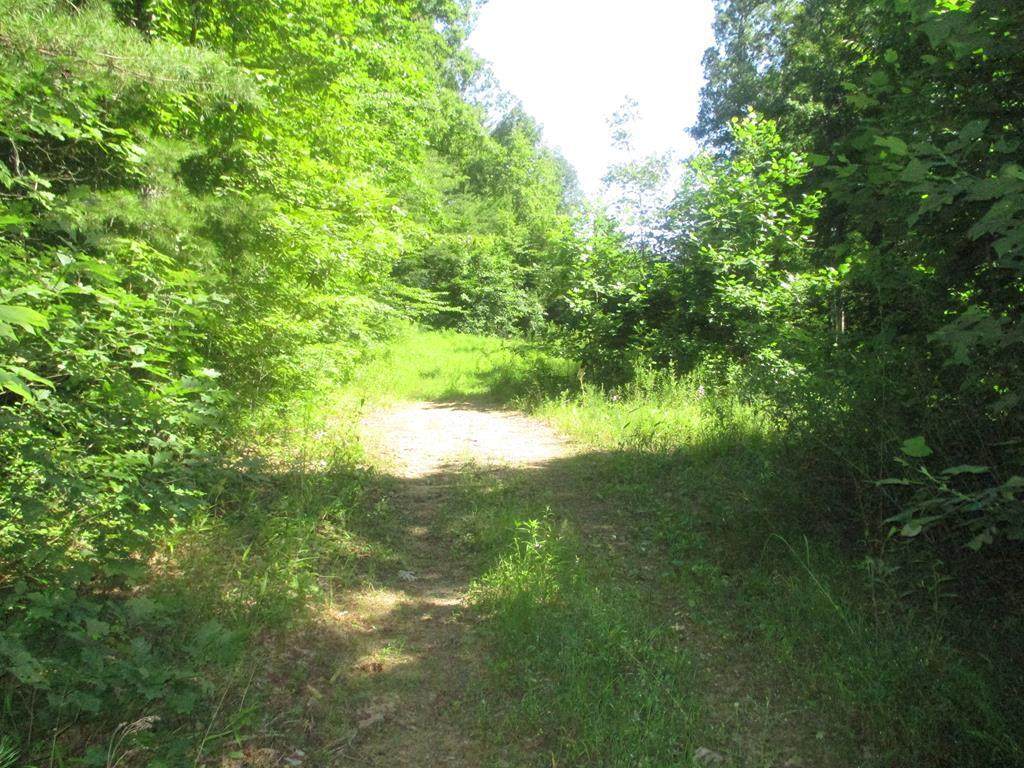 00 Lambert Hollow Road - Photo 1