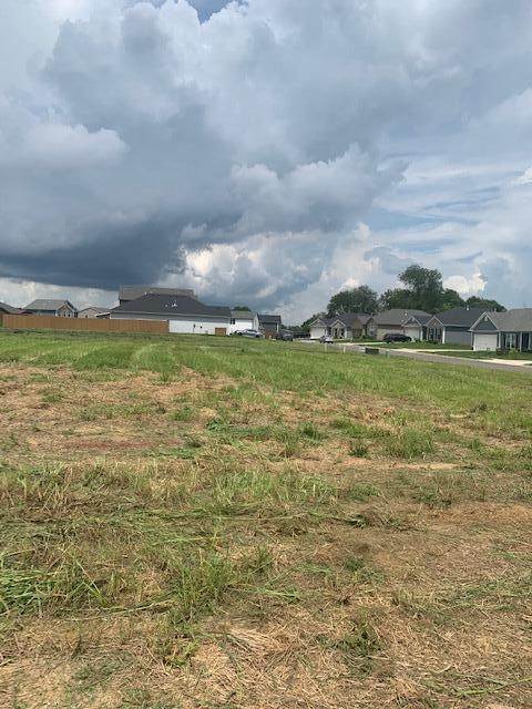 127 White Oak Drive - Photo 1