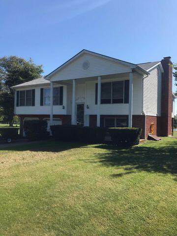 204 Alfred Drive - Photo 1