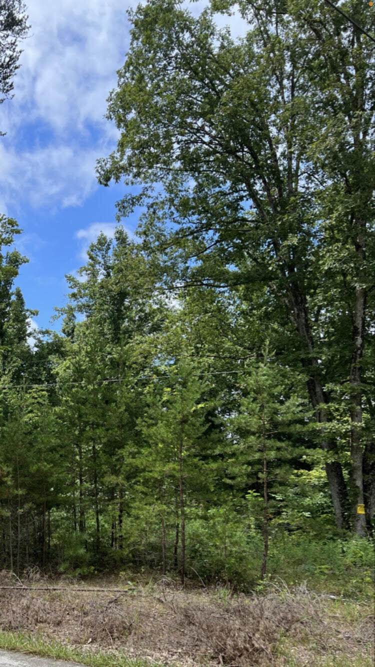 999 Jones Tract 2 Road - Photo 1