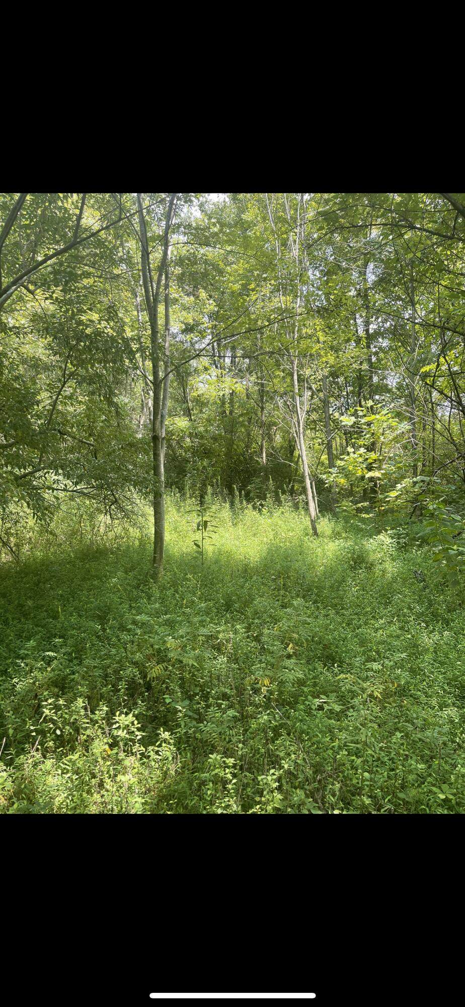 758 Hwy 2227 - Photo 1