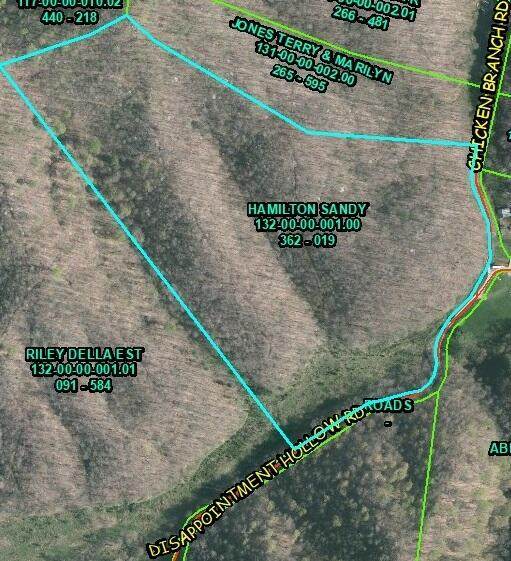 1 Disappointment Hollow Road - Photo 1