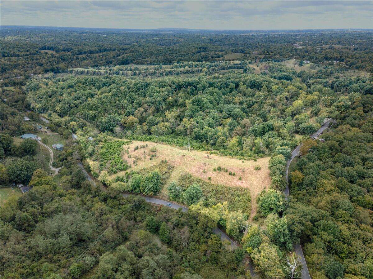 1257 Flat Creek Road - Photo 1