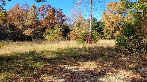 0 Neal's Creek Road - Photo 1