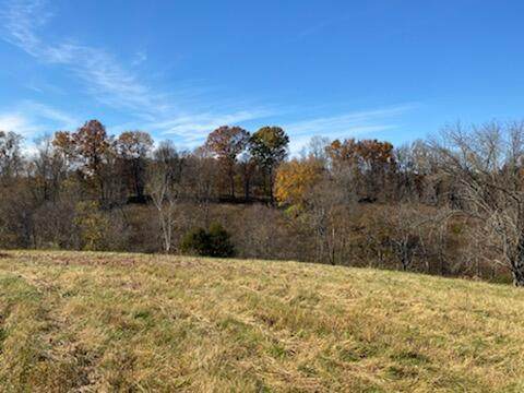 22007 Upper Lick Tract # 5 Road - Photo 1