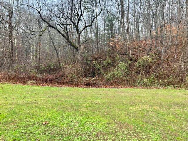 83 Liddie Way - Photo 1
