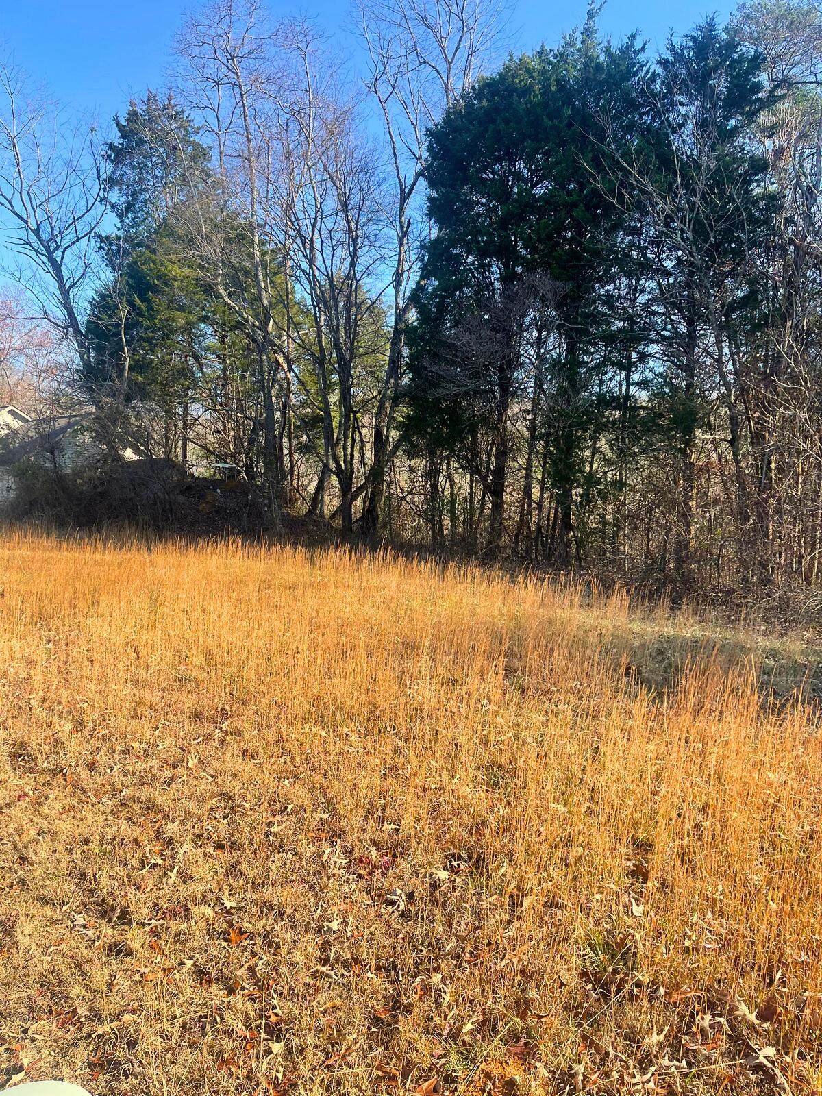 604 Barrington Drive - Photo 1
