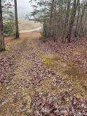 Lot 14&15 Turkey Foot Pass - Photo 1