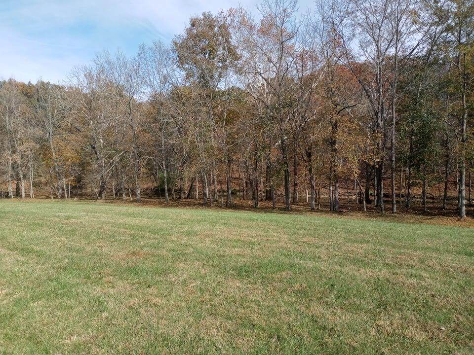 849 Burgess Smith Road - Photo 1