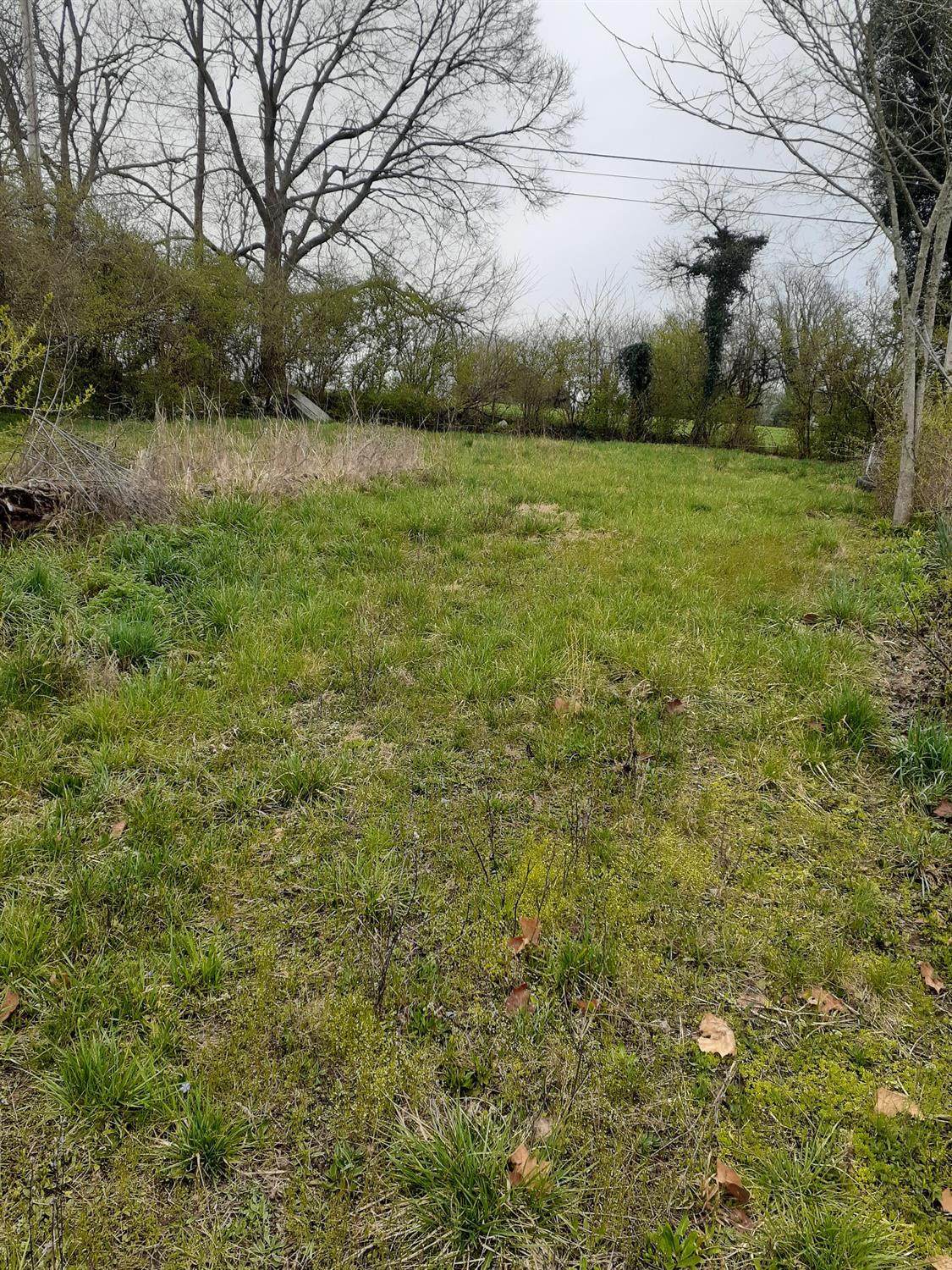 33 Young Drive - Photo 1