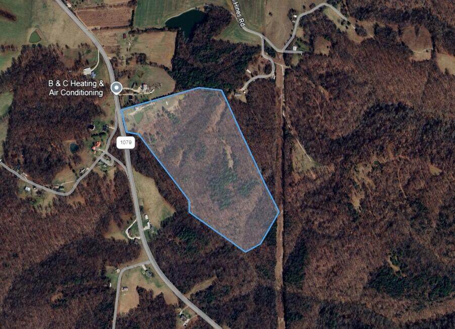 3324 Mt Zion Church Road - Photo 1