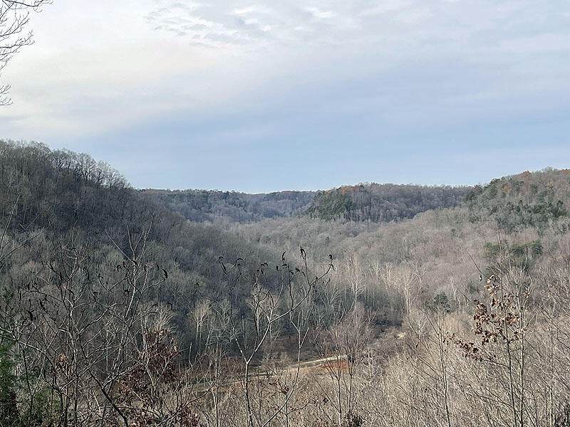 Lot 145 Stillwater - Photo 1