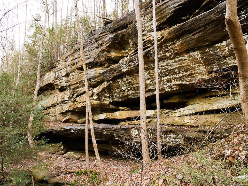 0 Highway 15 - Photo 1