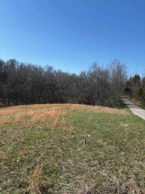 0 Pleasant Grove Road - Photo 1