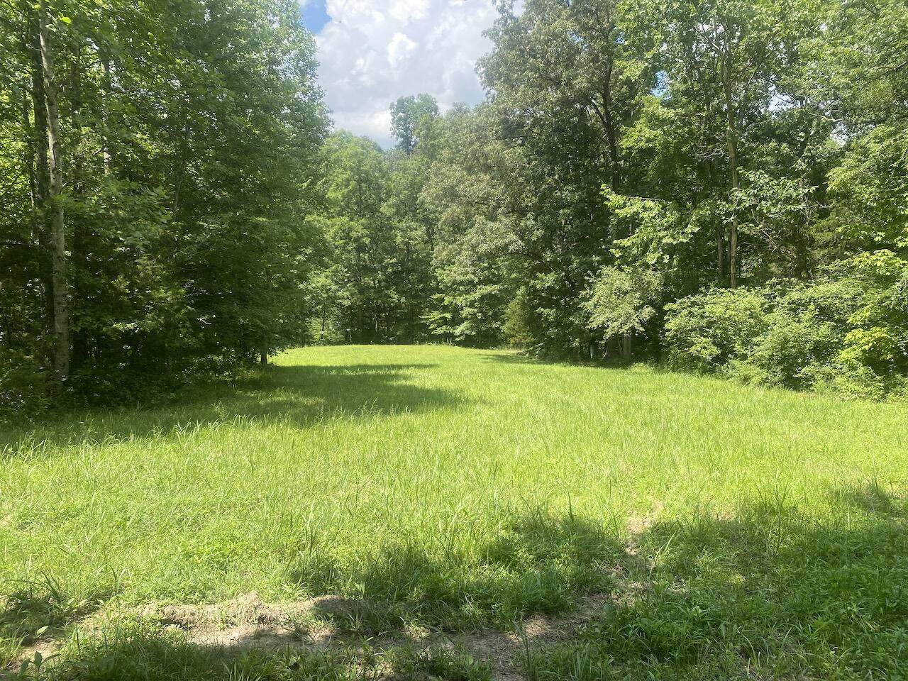 000 Grider Road - Photo 1
