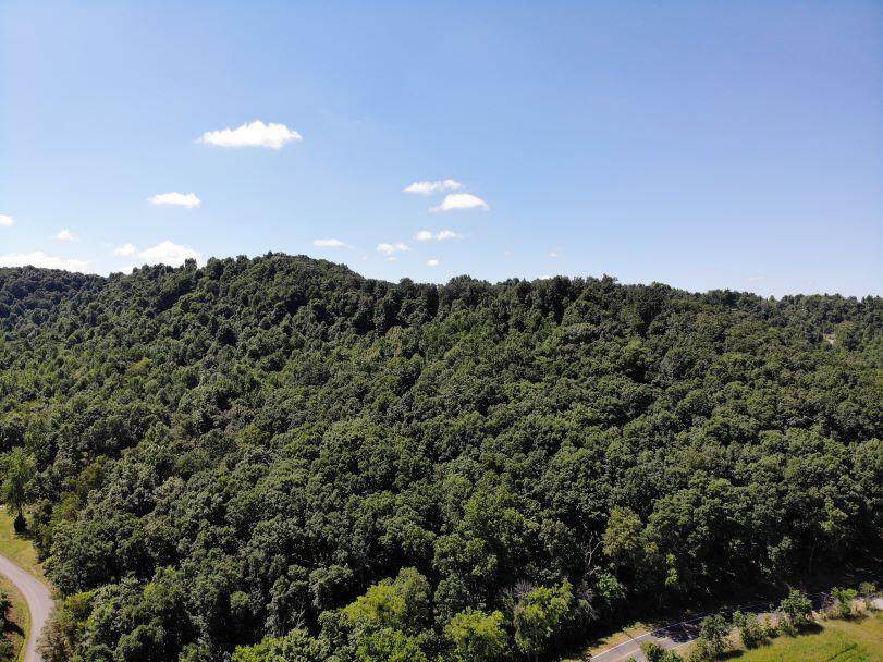 5701 Ky-1247 - Photo 1