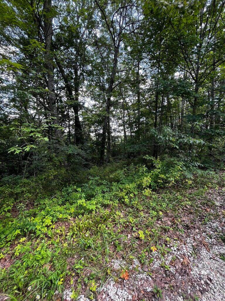 0 Lot 80 Ivy Lane - Photo 1