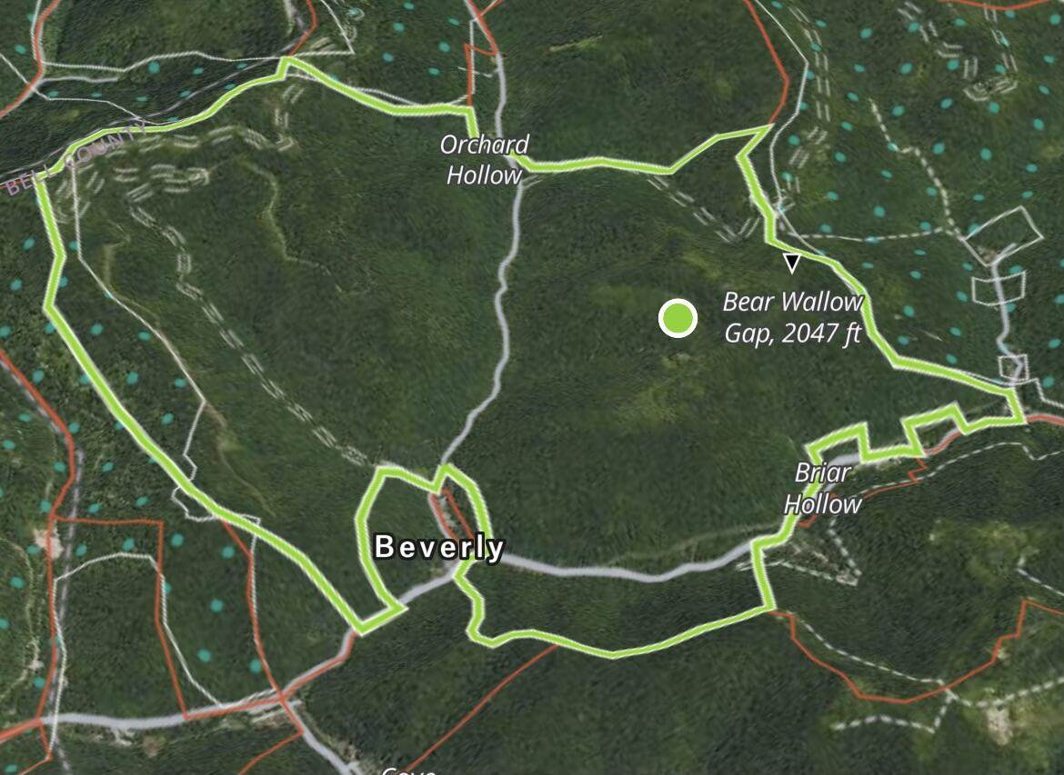 9999 Cow Fork Road - Photo 1