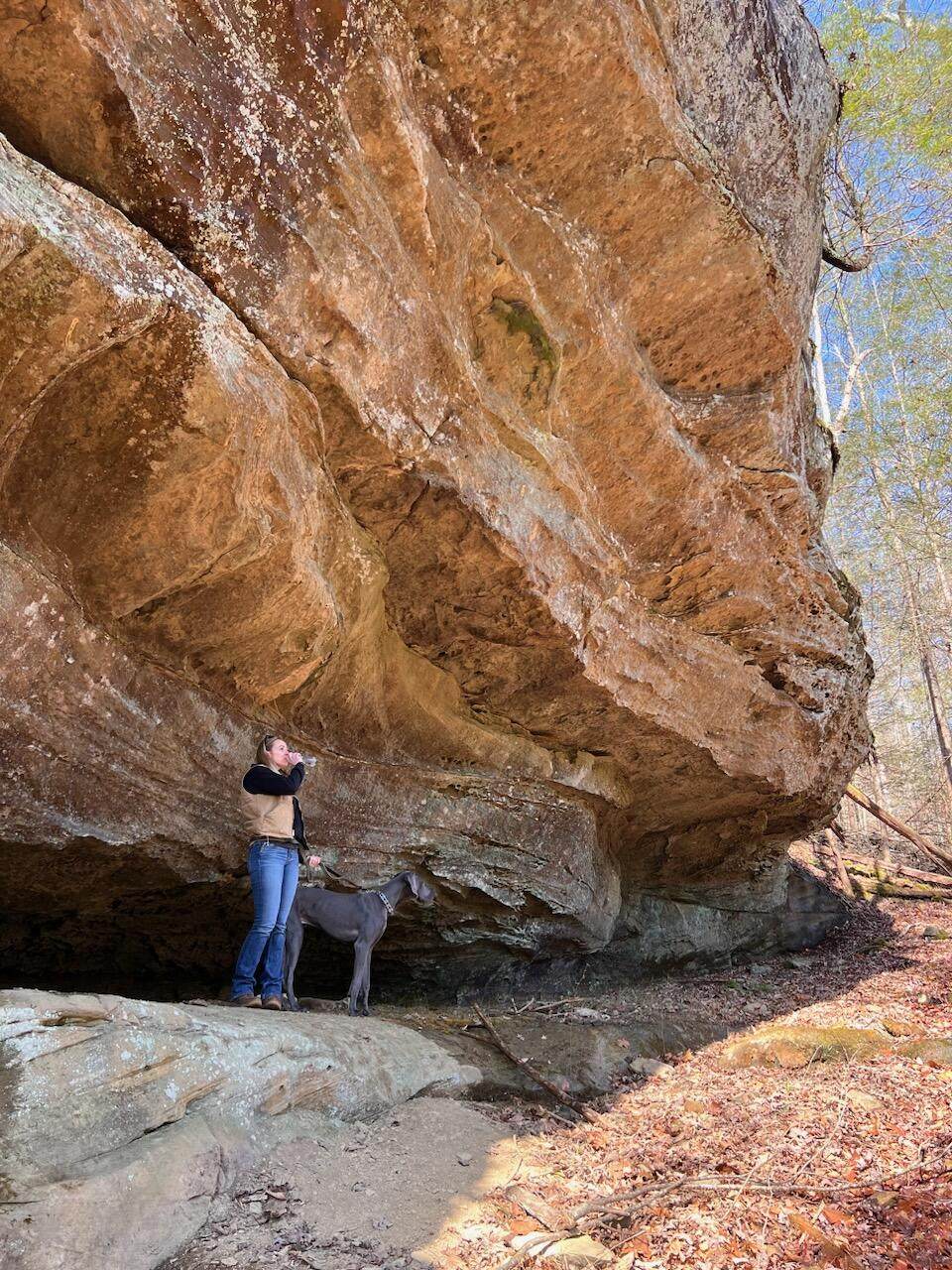 9999 Paradise Drive - Photo 1