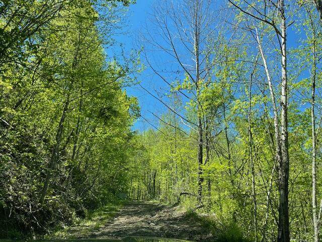 9999 Hooker Branch Road - Photo 1