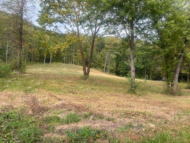 181 Helton Road - Photo 1