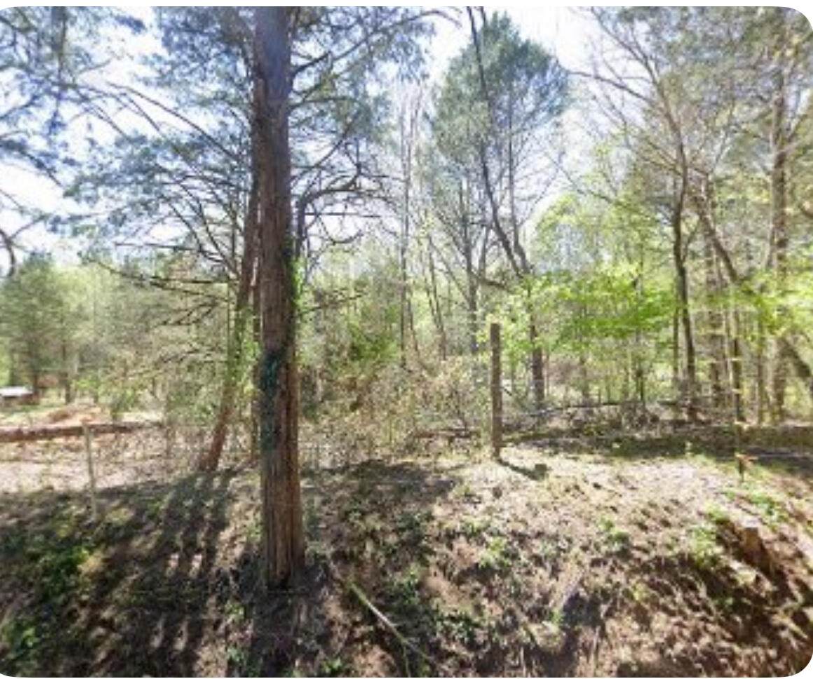 5050 Dry Branch Road - Photo 1