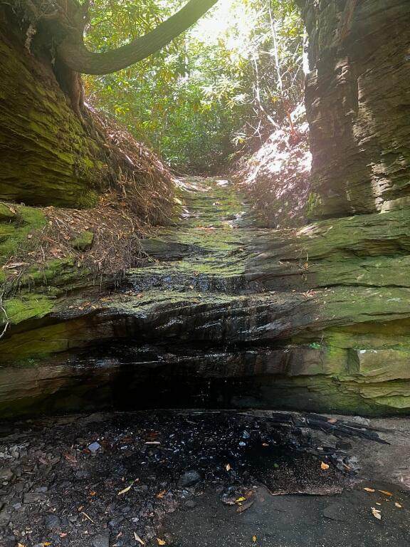 999 Wicked Oak Road - Photo 1