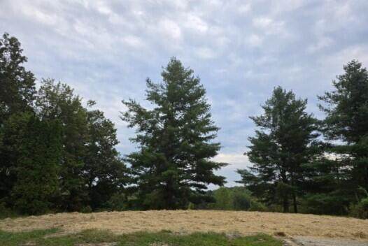 342 Fred Fox Road - Photo 1