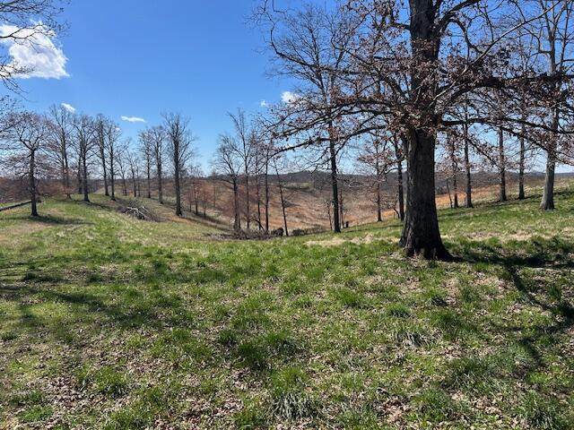 25 Pittsburg Landing - Photo 1