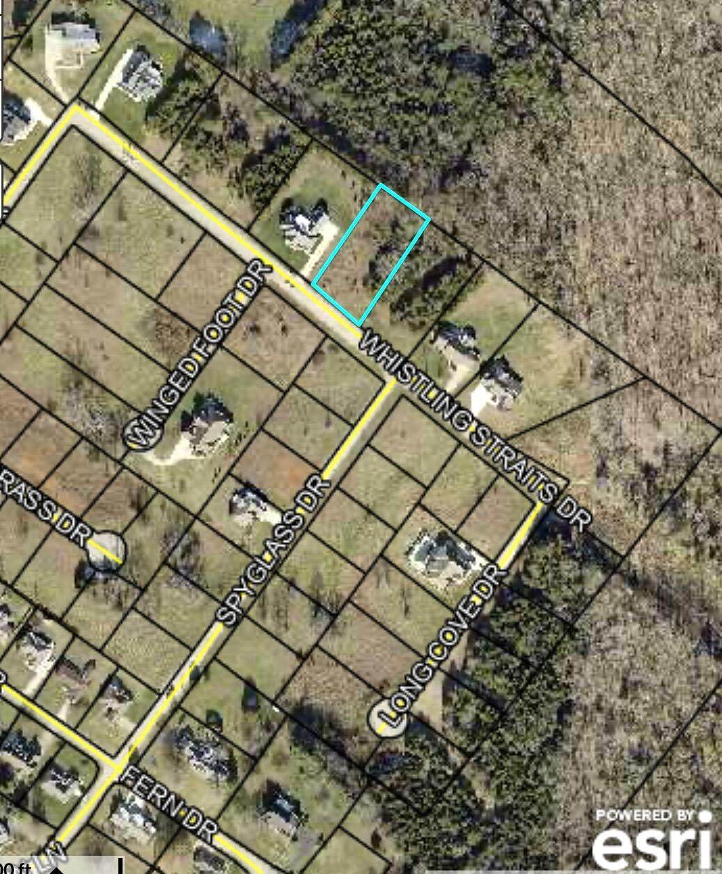 1111 Whistling Straits Drive - Photo 1