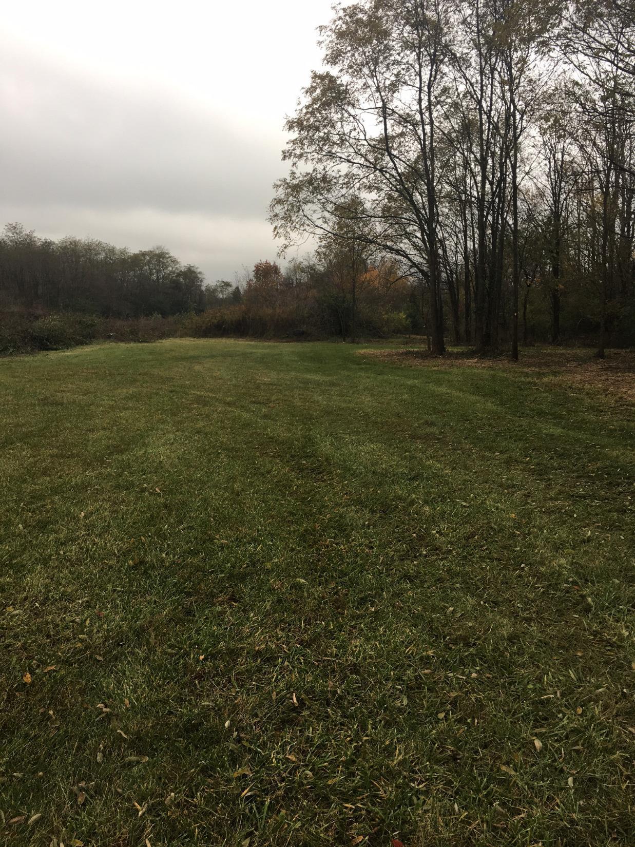103 Elk Drive - Photo 1