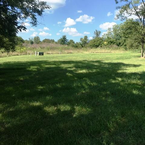 117 Elk Drive - Photo 1