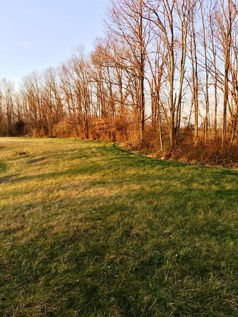 127 Elk Drive - Photo 1