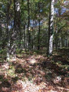 168 Garr Ridge Road - Photo 1